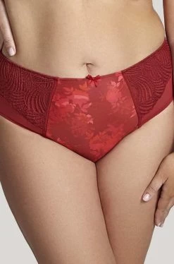 Arianna Full Brief (Red) Available In Size 18 And 20