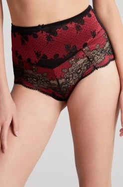 Panache Clara High Waist Brief (Noir Ruby)