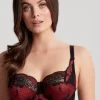 Panache Clara UW Bra (Noir Ruby)