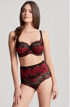 Panache Clara High Waist Brief (Noir Ruby) -Fashion Underwear Shop 7255Ab 983 5 95986