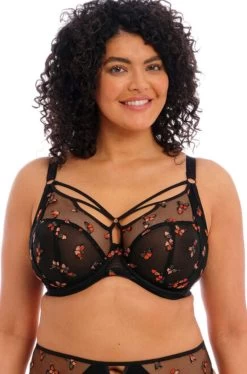 ELOMI Sachi UW Plunge Bra (Black Butterfly)