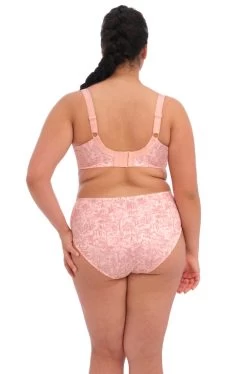 ELOMI Mariella UW Bra (Peachy Tiger) -Fashion Underwear Shop EL4420 PTR back Elomi Lingerie Mariella Peachy Tiger UW Bra