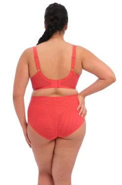 ELOMI Brianna UW Plunge Bra (Cayenne) -Fashion Underwear Shop EL8080 CYN back Elomi Lingerie Brianna Cayenne UW Plunge Bra